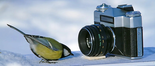 Современный фотоаппарат